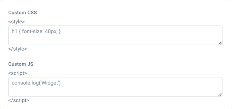 Custom CSS and Custom JS Fields
