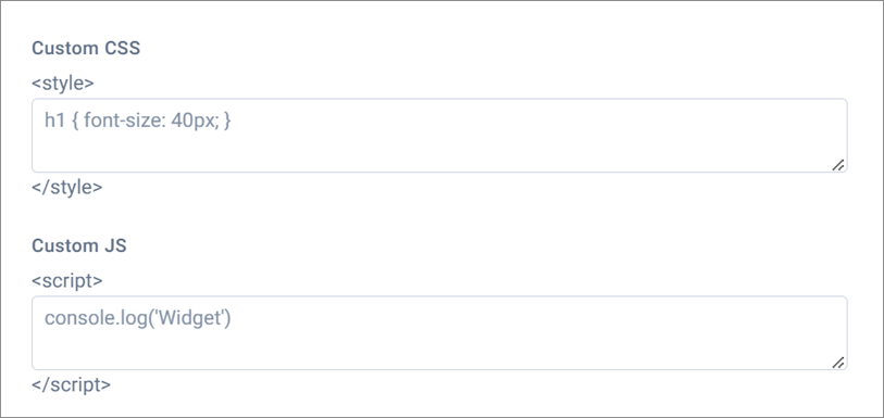 Custom CSS and Custom JS Fields