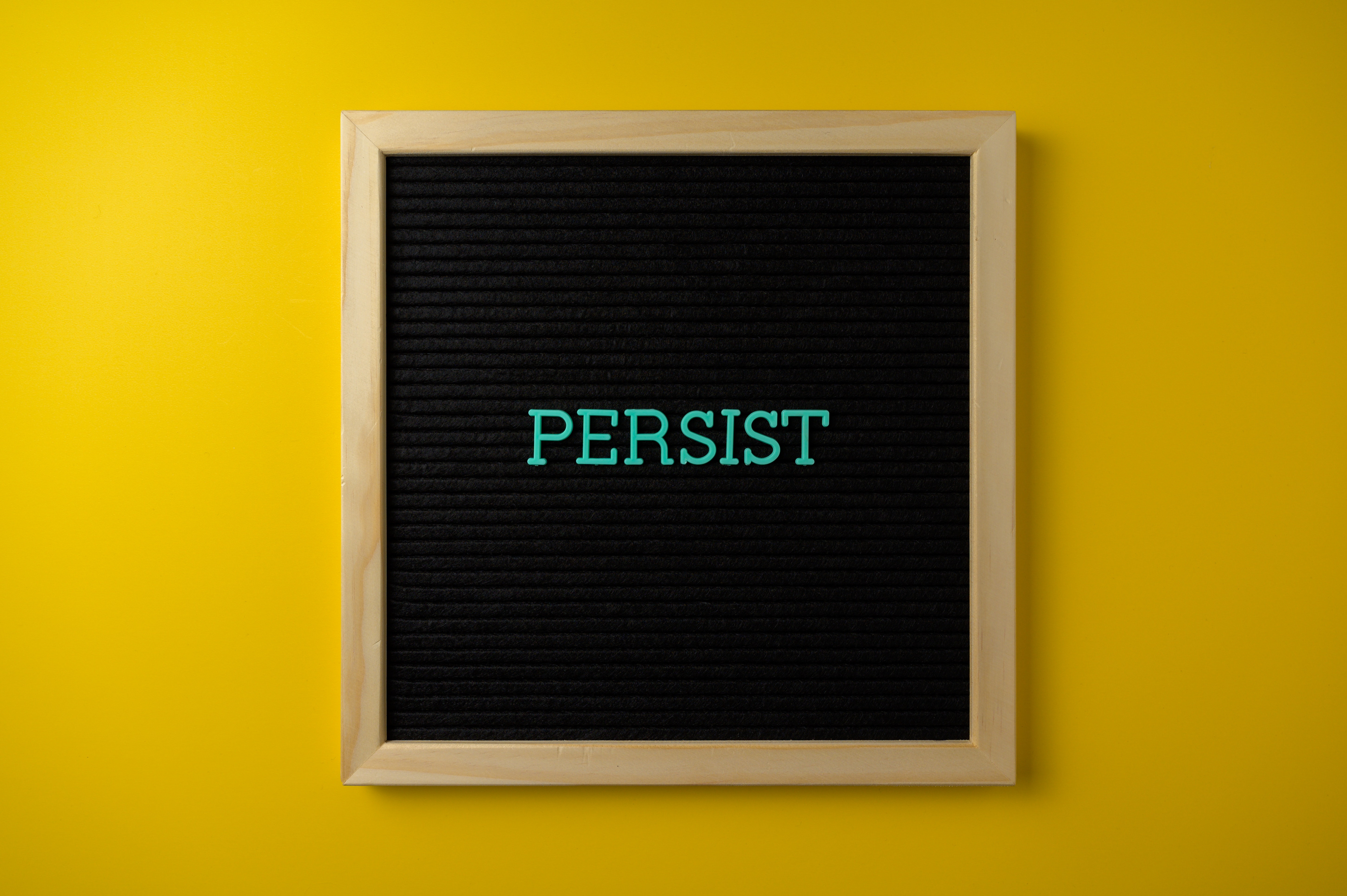 Persistence