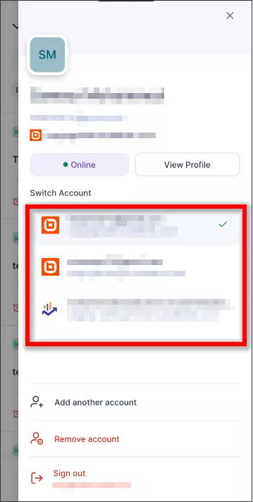 User profile screen showing account actions: switch, add, remove, sign out; current account clearly highlighted for visibility.
