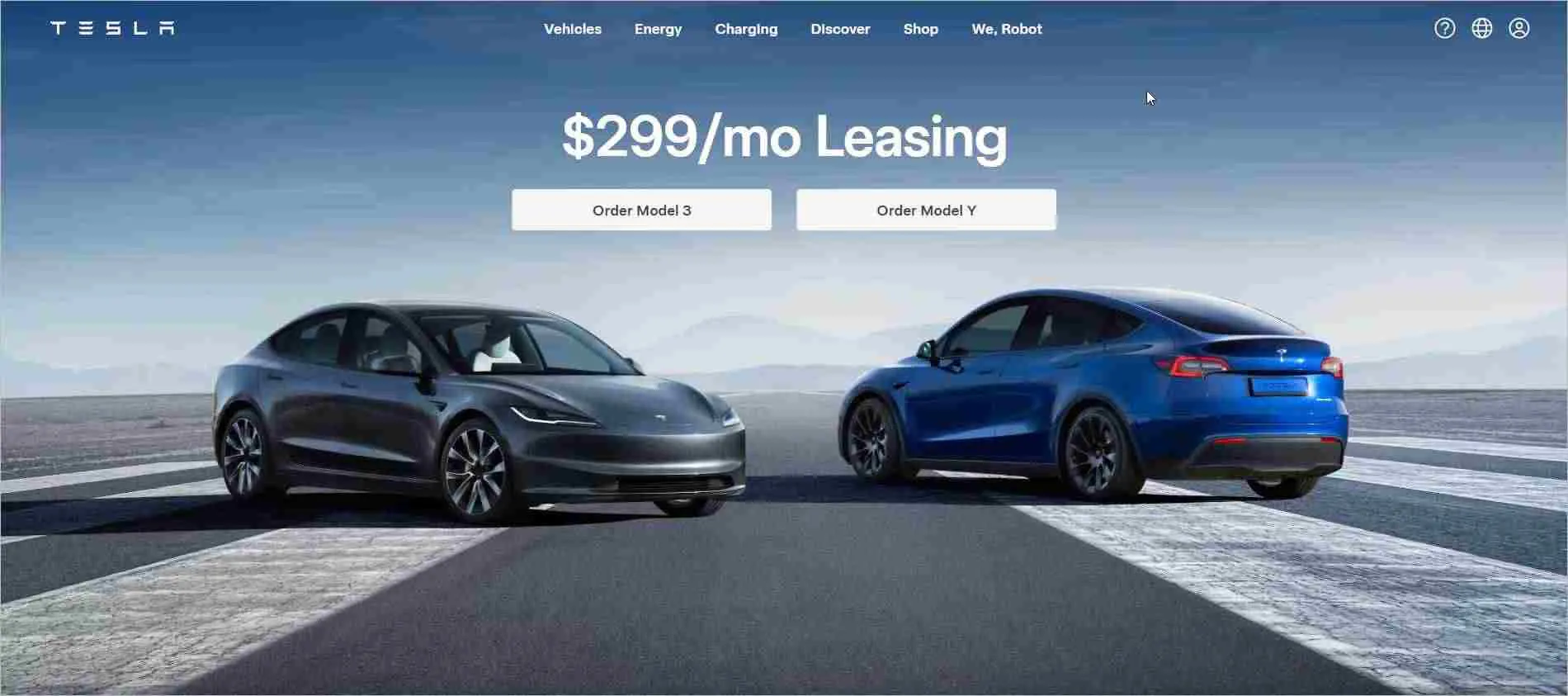Customer delight brand examples: Tesla
